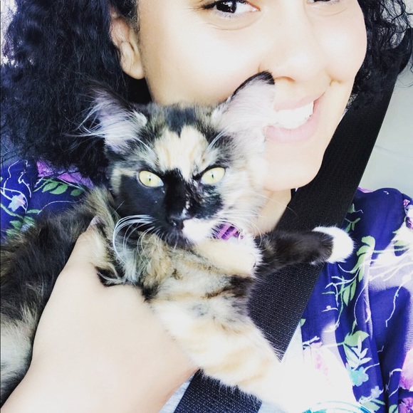 Meet your Posher, Justus - Picture 3 of 7